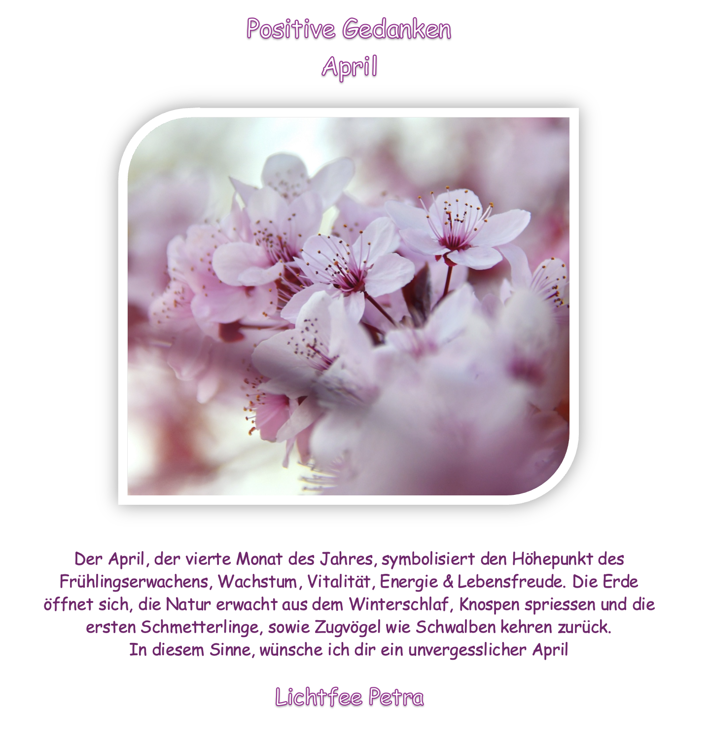 Bildschirmfoto 2026-04-05 um 19.39.50